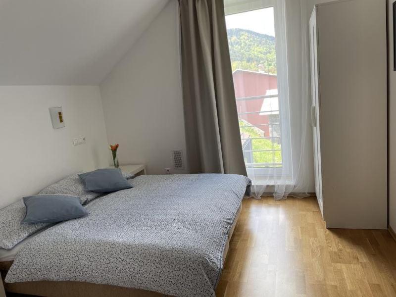 Apartman Pri Dierach Terchová エクステリア 写真
