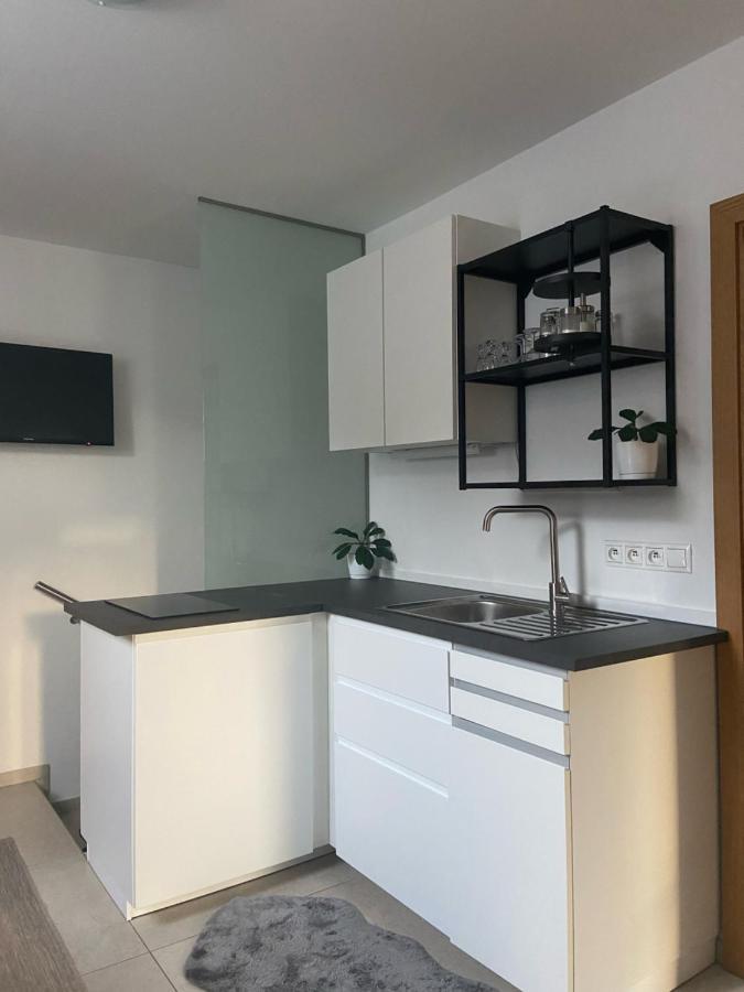 Apartman Pri Dierach Terchová エクステリア 写真